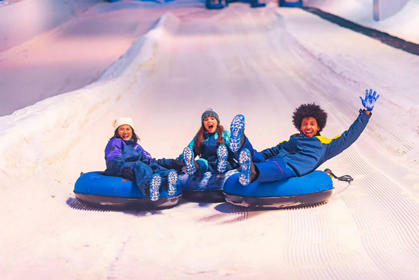 Ingresso Snowland