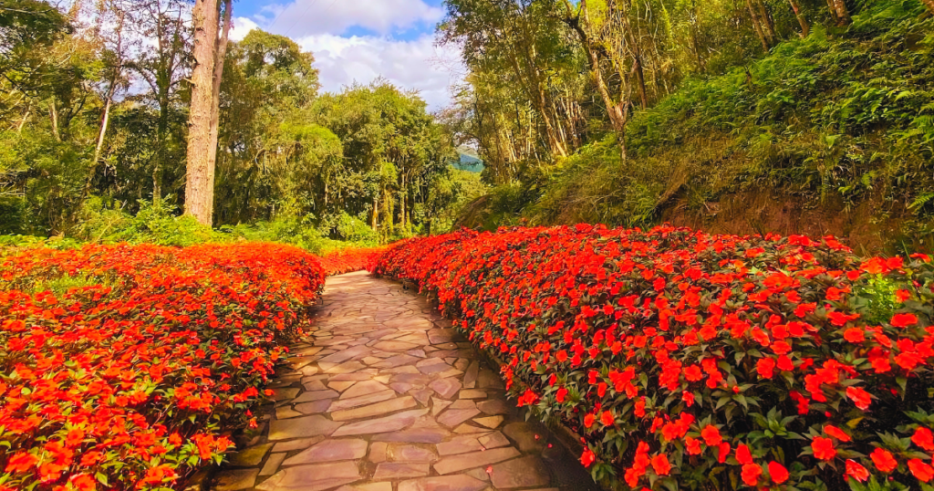 O que fazer em Gramado e Canela