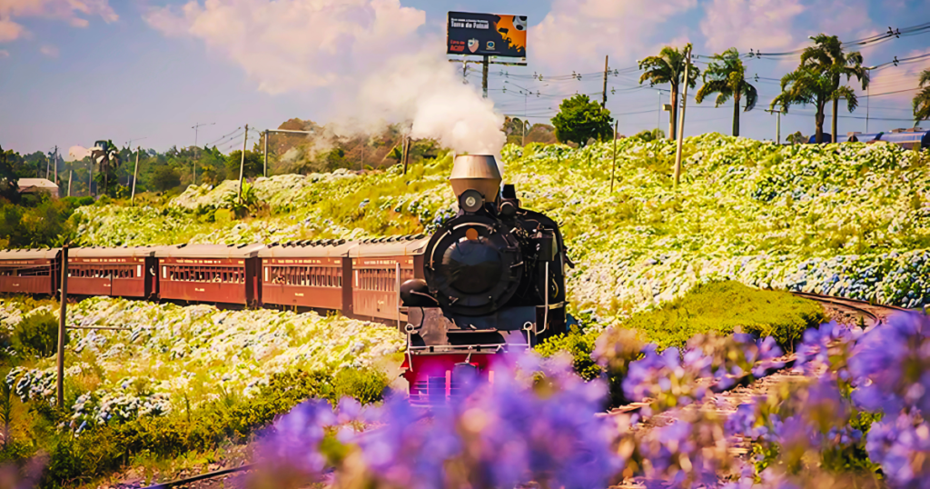 Passeio de Trem Maria Fumaça